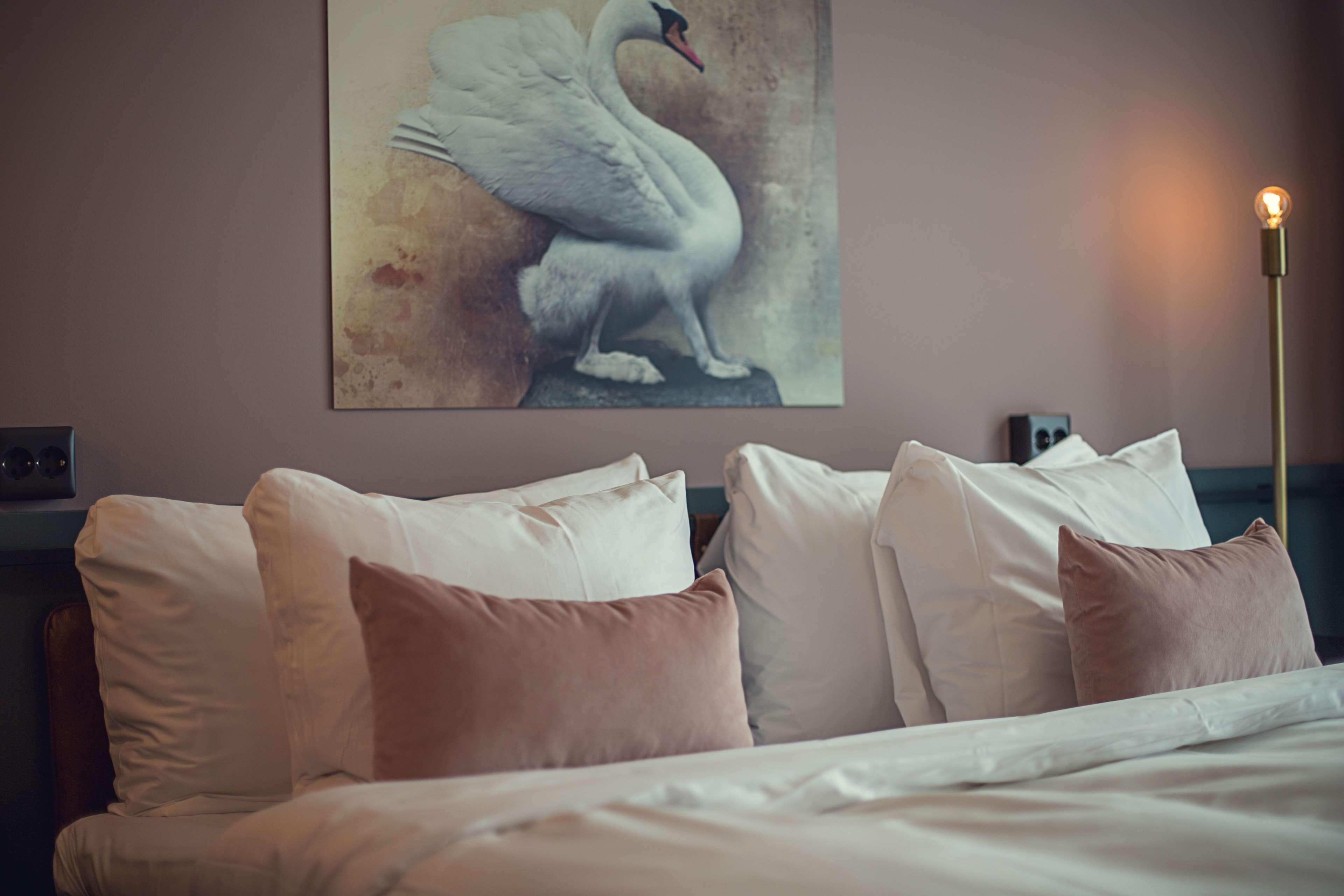 Best Western Plus Fort Worth Forest Hill Inn & Suites Экстерьер фото