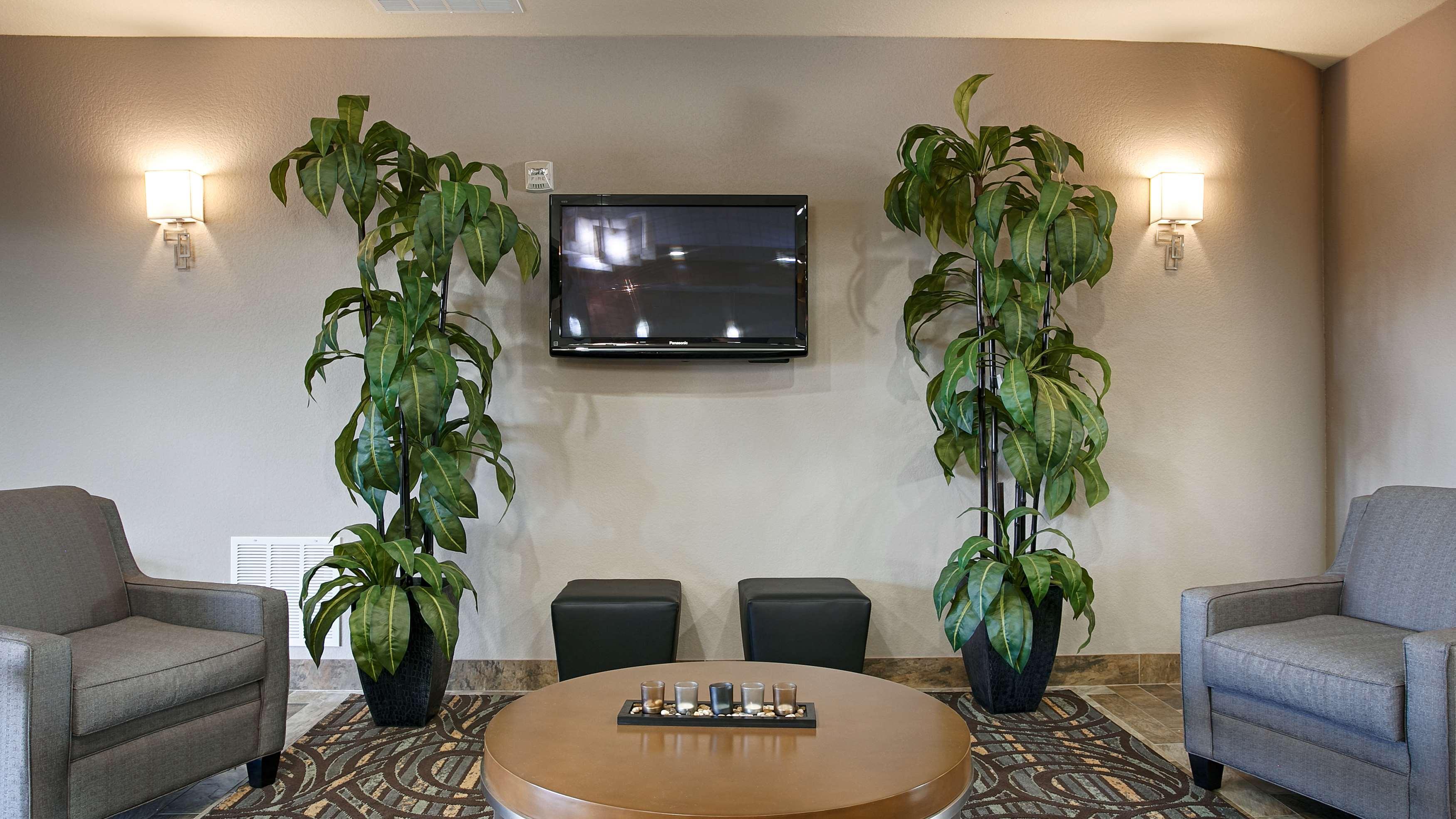 Best Western Plus Fort Worth Forest Hill Inn & Suites Экстерьер фото